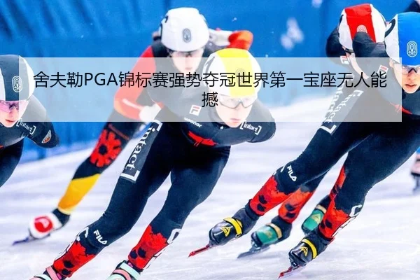 she-fu-lei-jin-biao-sai-qiang-shi-duo-guan-shi-jie-di-yi-bao-zuo-wu-ren-neng-han-2-488.jpg